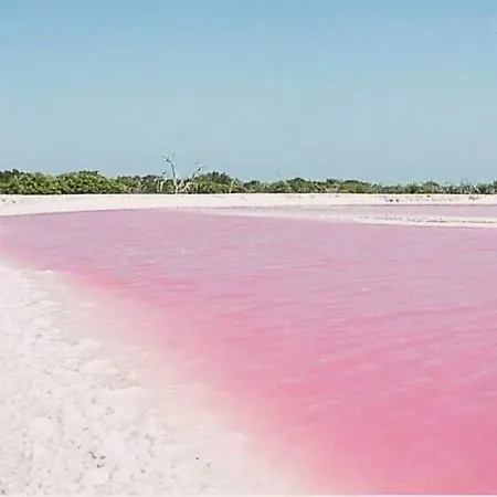 Migos 350m From The Sea, Playa Del Acequion, * 托雷维耶哈