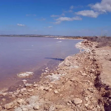 公寓 Migos 350m From The Sea, Playa Del Acequion, 托雷维耶哈
